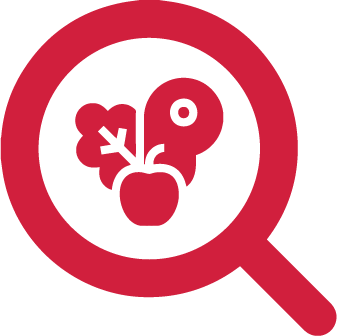 Magnifying glass with heart icon showing CalcMenu’s nutritional transparency.